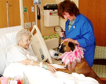 Elderly woman in a hospital bed with a dog 
