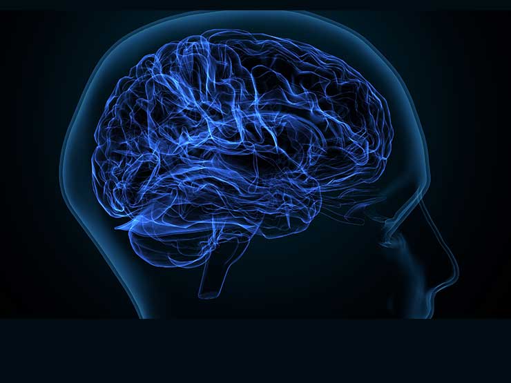 digital vector image of brain