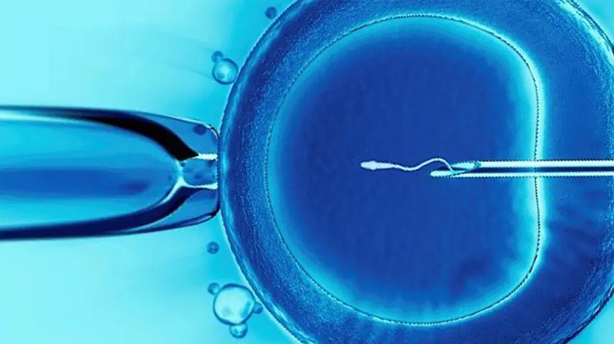 How Does IVF Work?