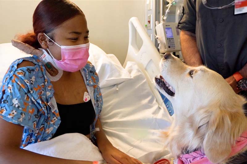 patient with therapy dog