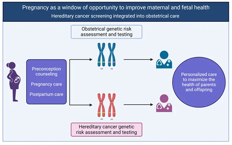 Diagram illustrating incorporating hereditary cancer screening into obstetrical care.