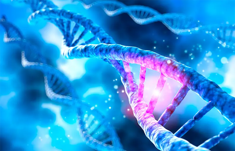 Blue 3D illustration of DNA with purple segment