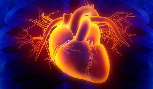 colorful heart colorful heart